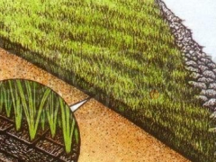 三维土工网垫护坡形成坚固的绿色复合保护层